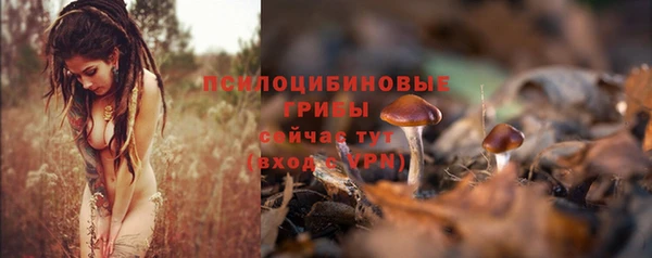 герыч Верхний Тагил