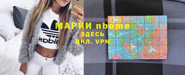 прущий лед Бородино