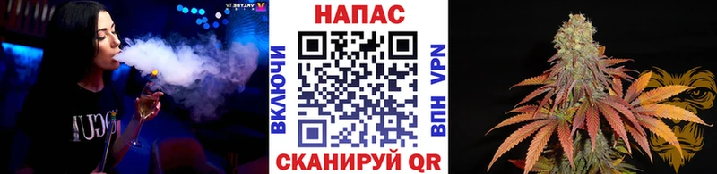 Канабис THC 21%  маркетплейс клад  Новодвинск 